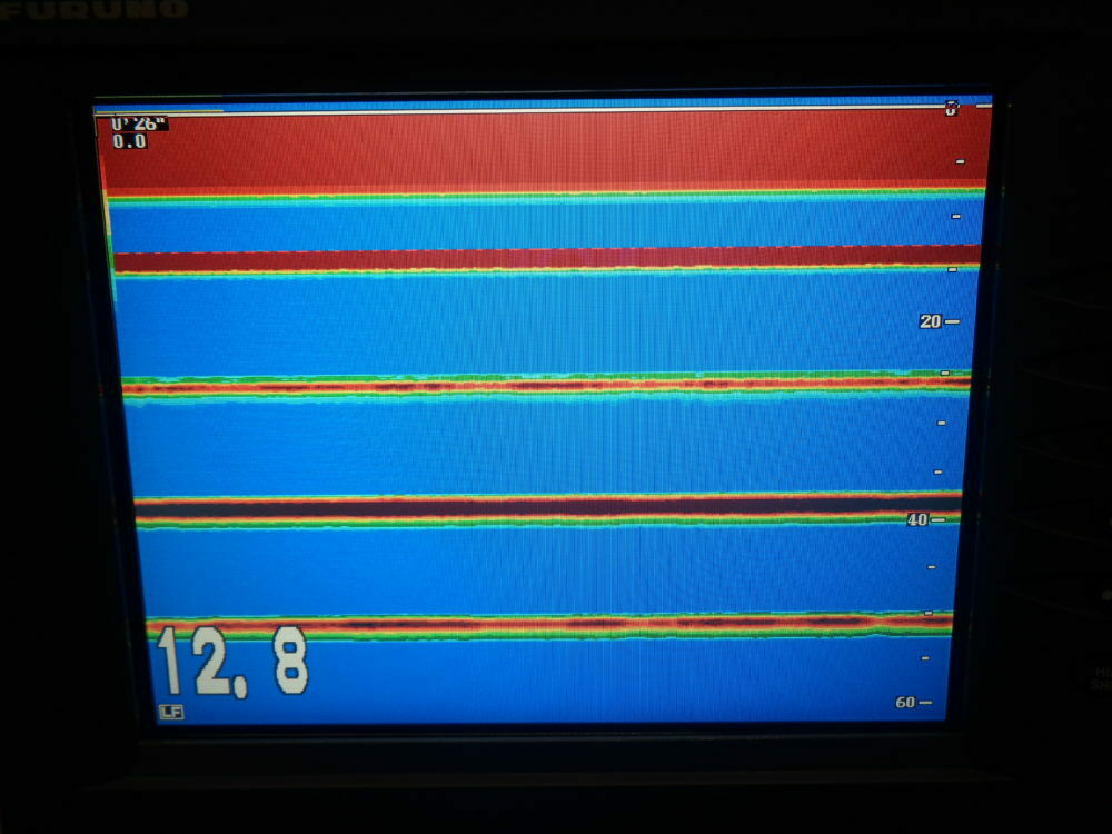 IMS496b